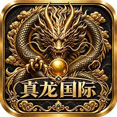 真龙国际